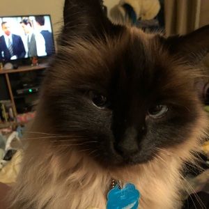 Meet your Posher, Allison